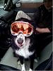 Colorado Related Pictures-219.jpg
