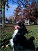 Colorado Related Pictures-103.jpg