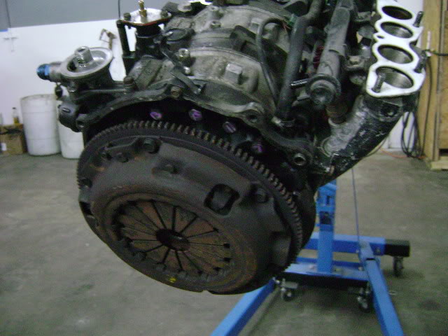 Name:  DSC01244-1.jpg
Views: 187
Size:  56.7 KB