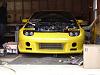 Spotted, White FD in Oakland, Nj-gallery_4117_219_109239.jpg