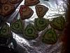 NEW! 2008 MazdaFest (Replacement for Rotorfest)-12-21-07_2153.jpg