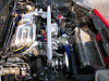 re doing the rex this winter-new-rx73.gif