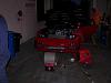 re doing the rex this winter-100_5780.jpg