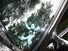 Washed the FC and took some pics today.-dscf5122resized.jpg