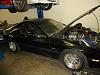 jpr bbq/ meet this year anyone.....-jpr-bbq-025.jpg