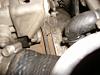 is this normal pic included-100b4455.jpg
