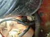 87 RX Will not run.-rx7-160.jpg