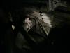 need help asap-img01383.jpg