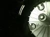 Destroyed distributor cap-img_0345.jpg