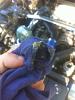 Gunk in/on overflow tank cap-image-1268598191.jpg