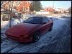 My new baby-image-2682819005.jpg