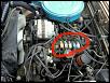 What are these?-img_20140306_182023.jpg