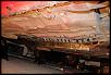 What're These?-march2320146_zps19170c96.jpg