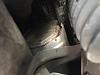 Bent Frame, Much Shame-img_7063.jpg