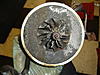 Advice on either replacing or rebuilding-dsc00247.jpg