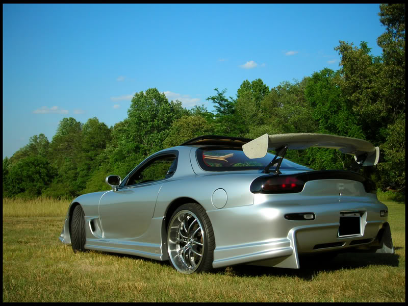 Name:  back.jpg
Views: 4097
Size:  113.7 KB