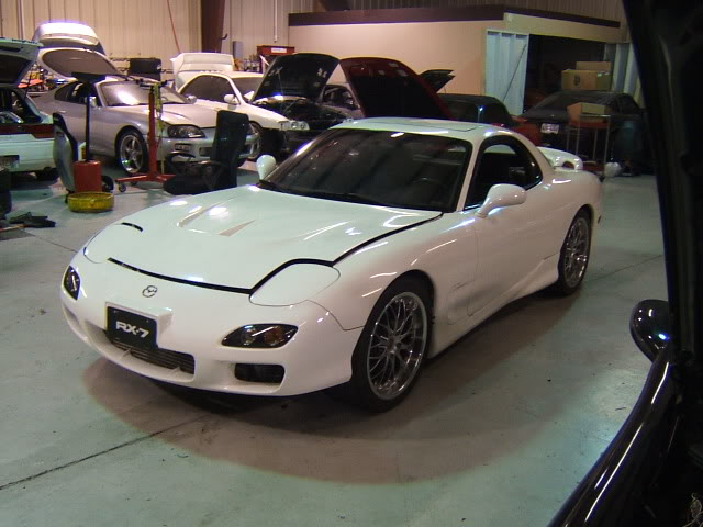 Name:  mnikesFDfrontright1.jpg
Views: 490
Size:  54.4 KB