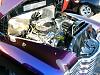 abf2005 pic thread-p1030516.jpg