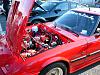 abf2005 pic thread-p1030534.jpg
