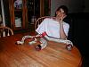 Starting Over-image100.jpg