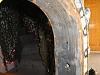 Todays Pic of the day-p1010005.jpg