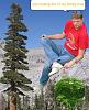 The Adventures of Bstrange99-family-tree.jpg