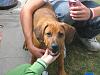 The INWR BBQ Pics-misc-045.jpg