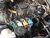 had to let her go-dsc00062.jpg