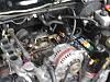 had to let her go-dsc00060.jpg