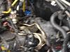 had to let her go-dsc00063.jpg