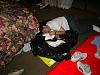 gettin readdy-p1030587.jpg