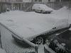 anybody else got snow?-new-snow.jpg