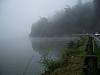 nw pics thread.-100_0665.jpg