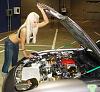 hin-copy-dsc00055.jpg