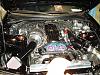 hin-dsc09989.jpg