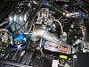 hin-dsc09988.jpg