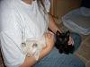 NW Kittens-jaz-anne2.jpg