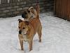 Nw Snow Pictures!-1.jpg