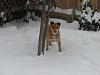 Nw Snow Pictures!-2.jpg