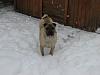 Nw Snow Pictures!-3.jpg