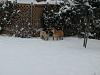 Nw Snow Pictures!-5.jpg