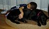 Oregons trying to ban pitbulls-steven-lady-2.jpg