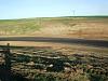 New Racetrack Construction Update-copy-dsc07408.jpg