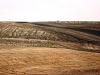 New Racetrack Construction Update-copy-dsc07410.jpg