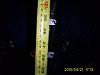 need measurment help!-s5031768.jpg