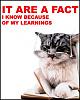Anyone awake out there?-i_no_because_of_my_learnings.jpg