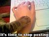 Anyone awake out there?-stopposting.jpg