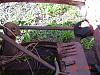 RX2 Parts For Sale-dsc00421-medium-.jpg