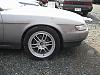 is there a Cosmo forum?   here is a few pics of my cosmo-1.jpg