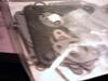 where are you guys getting carb rebuild kits???-pict0045-medium-.jpg